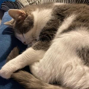 Meet your Posher, Jacob